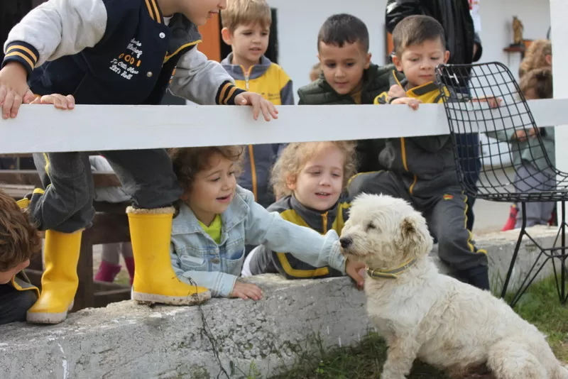 Okullar İçin Özel Programlar