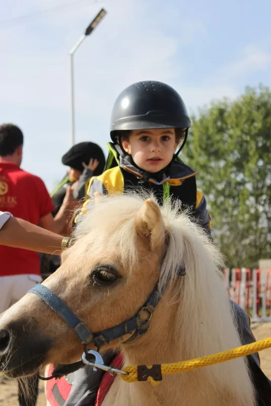 Okullar İçin Özel Programlar