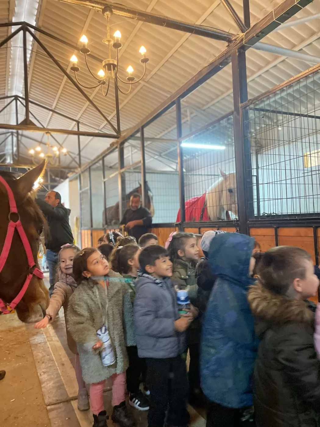 Okullar İçin Özel Programlar