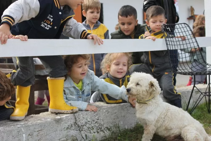 Okullar İçin Özel Programlar