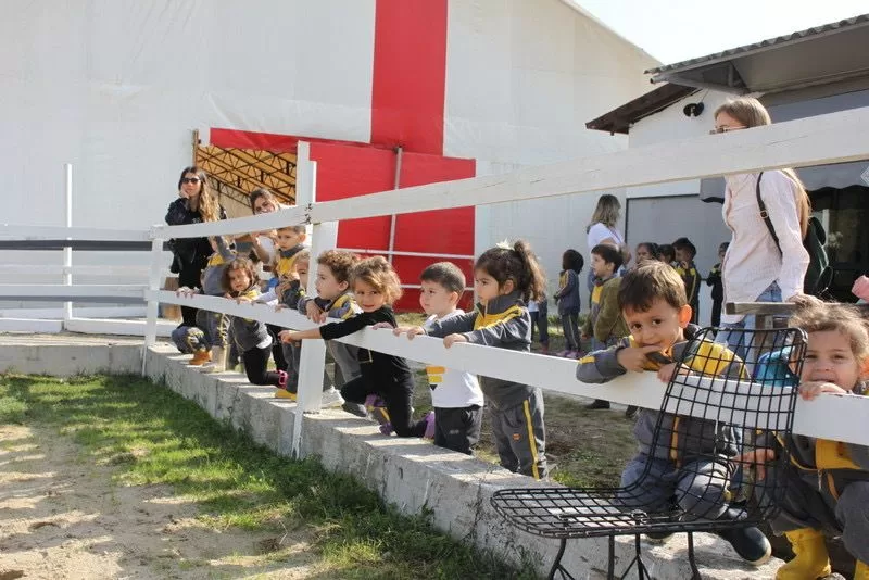 Okullar İçin Özel Programlar