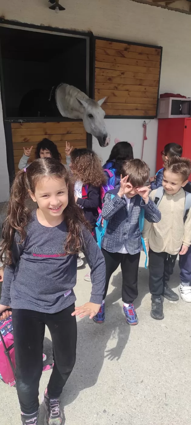 Okullar İçin Özel Programlar