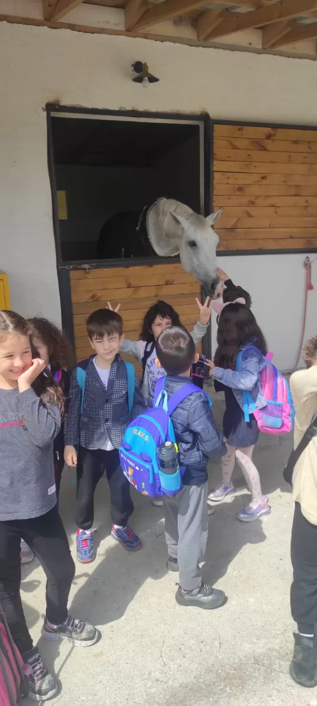 Okullar İçin Özel Programlar