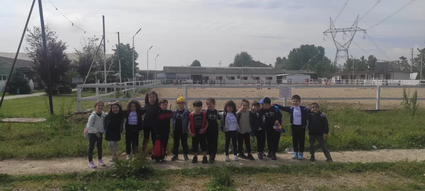 Okullar İçin Özel Programlar