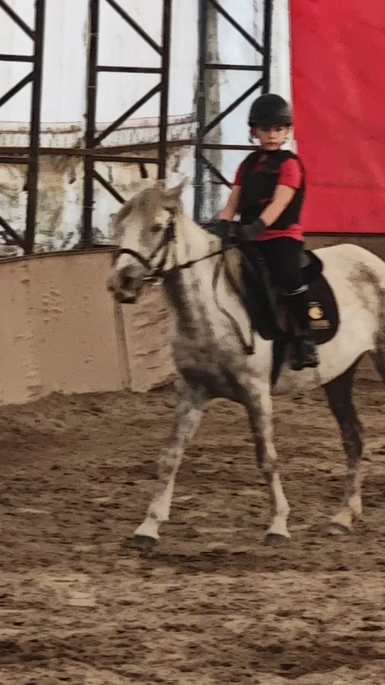 Temel Binicilik Eğitimi PONY  06 - 12 YAŞ